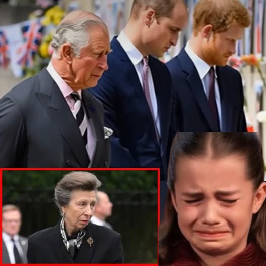 King Charles Couldn’t Speak. Queen Camilla Closed Her Eyes. What Anne Said Next Broke Everyone.