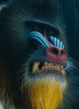 The Department Said He Was “Too Dangerous.” He Found The Child No One Else Could.