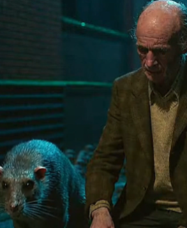 100 Enormous Rats Formed A Wall Around A Sobbing Old Man — And The Internet Is Losing Its Mind