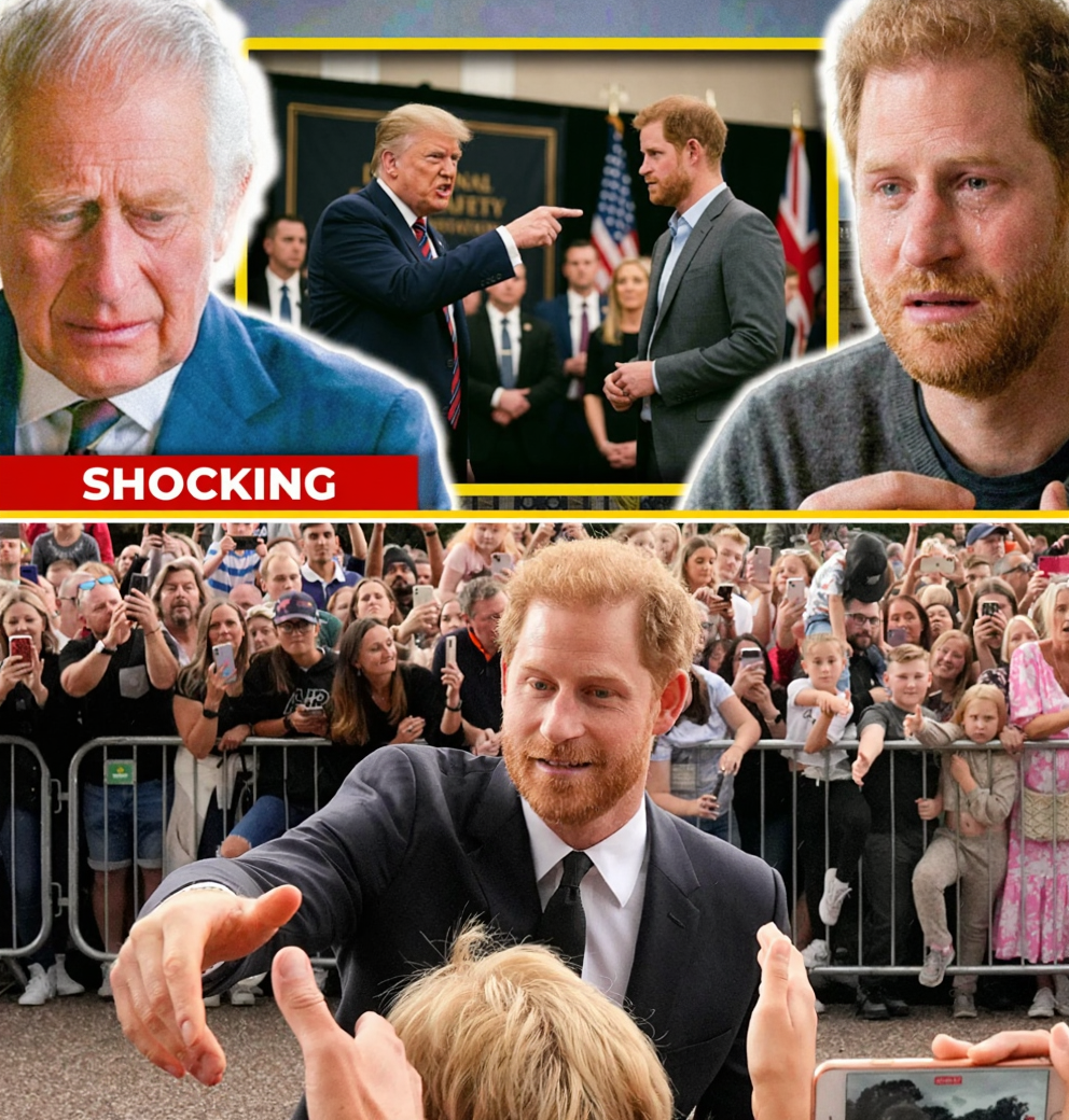 Harry Is Finished: Palace Drops the Hammer and Trump Demands Answers About His Visa